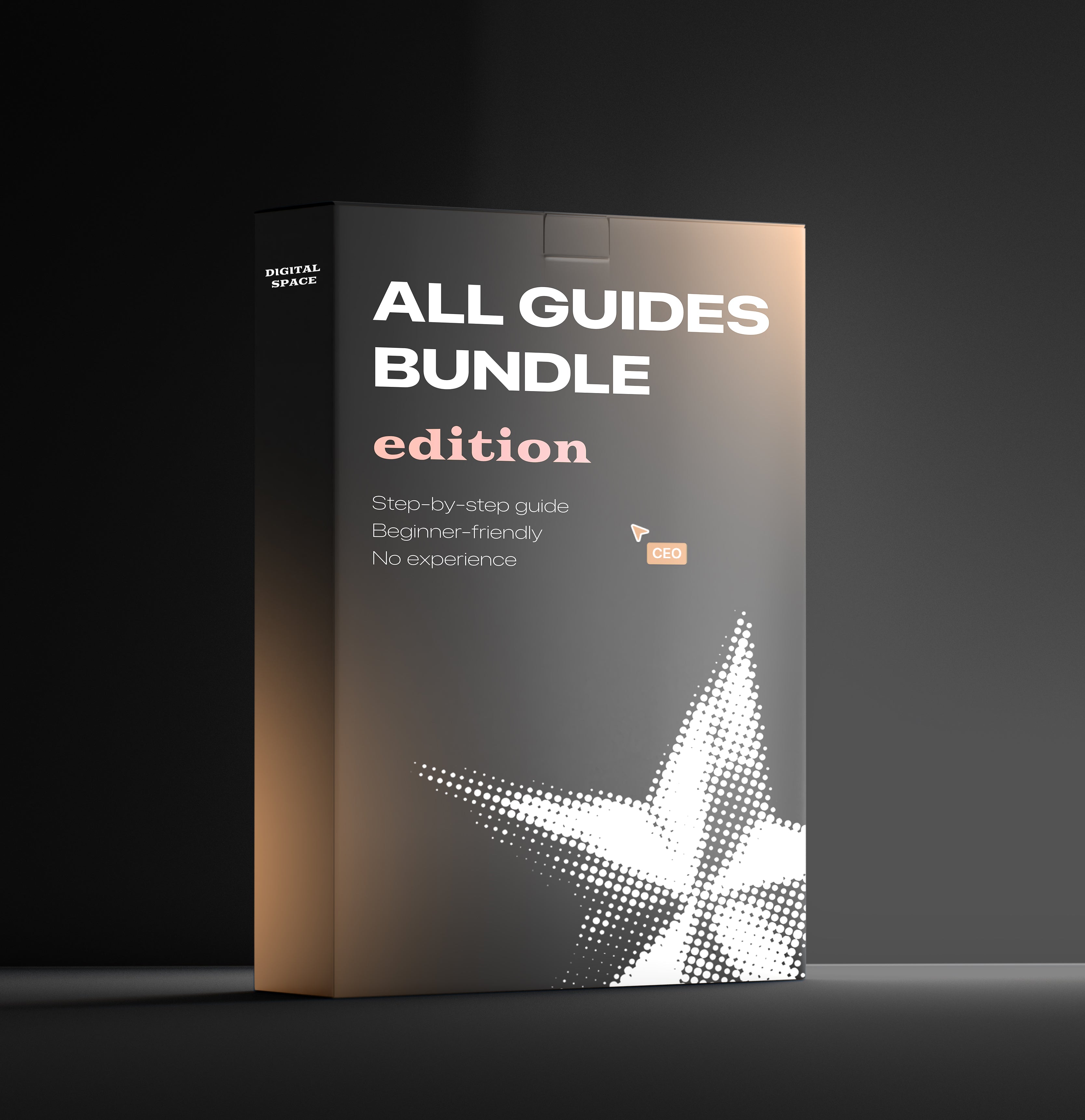 ALL GUIDES BUNDLE + PROMTS
